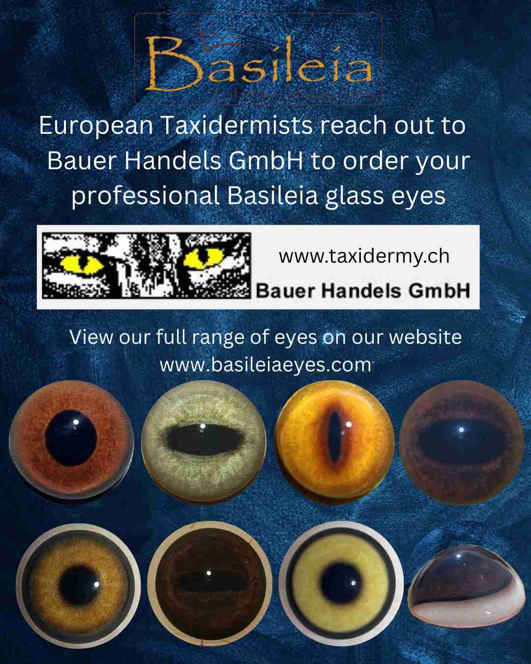 Basileia eyes now distributed by Bauer Handels in Europe