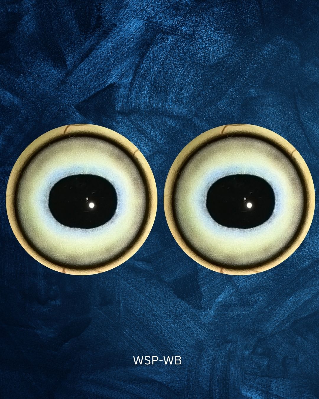 White Springbuck Eye - Oval Pupil with white iris with a hint of blue around the pupil (WSP)