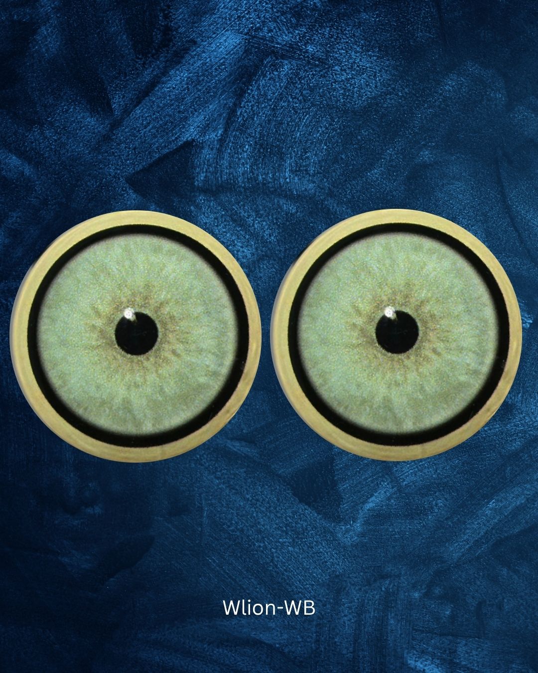 White Lion Eye - Small pupil with light blue green to grey Iris (W lion)