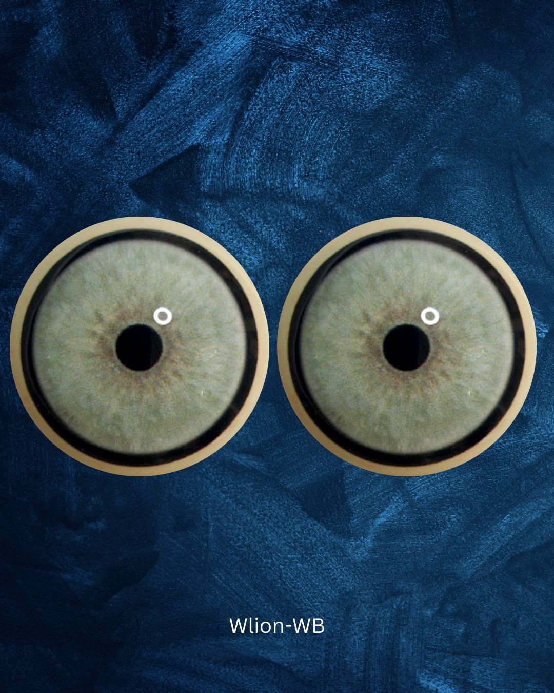 White Lion Eye - Small pupil with light blue to grey Iris (W lion)