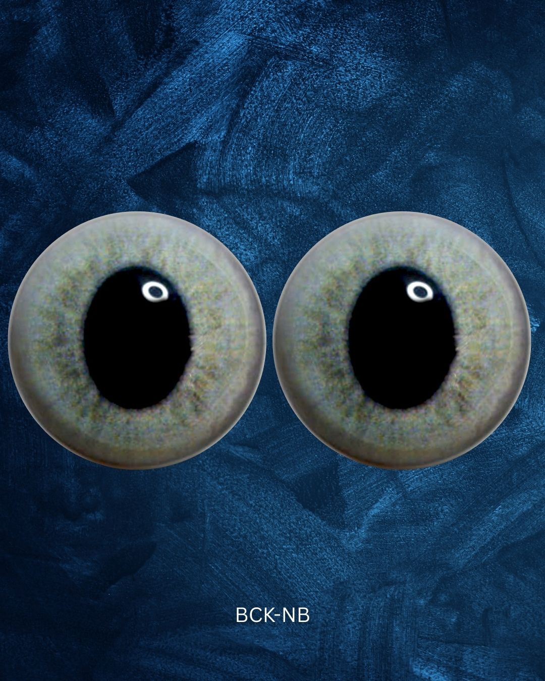 Bobcat Kitten Eye - Oval pupil with light blue grey iris (BCK)