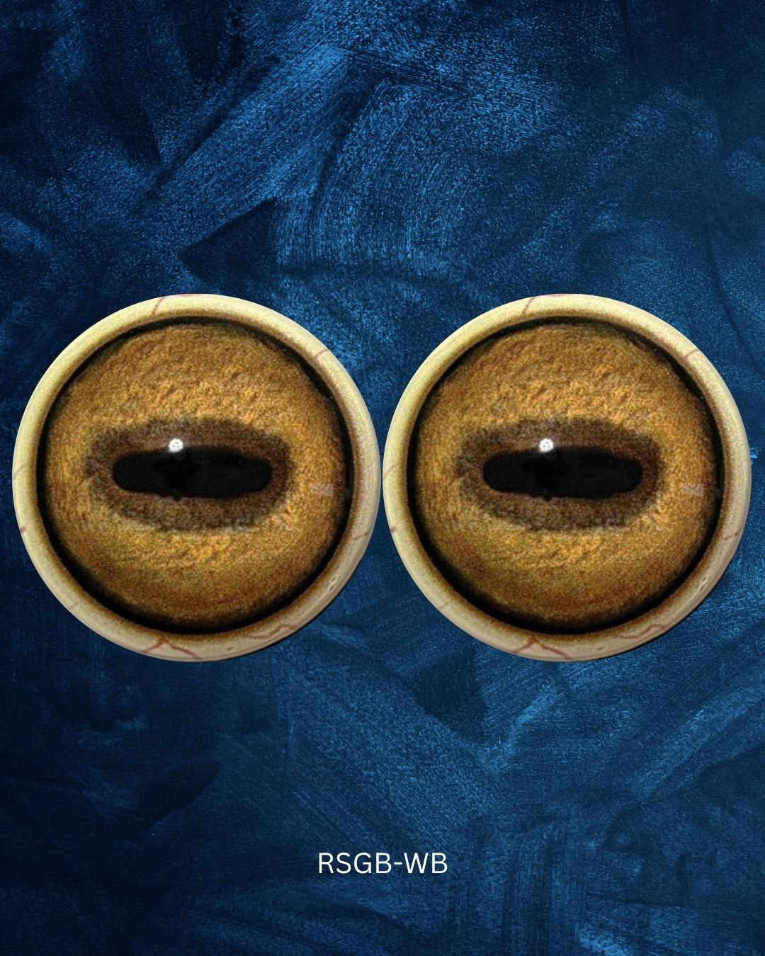 Red Deer Eye - Oval Pupil with golden brown Iris (RSGB)