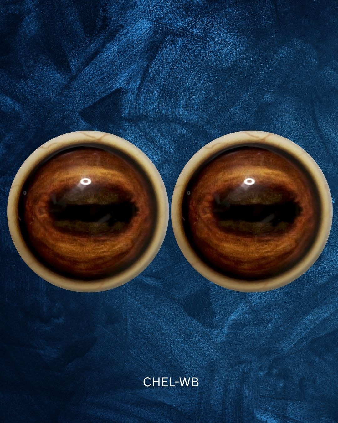 Chamois Eye - Oval Pupil with two toned warm brown Iris (CHEL)