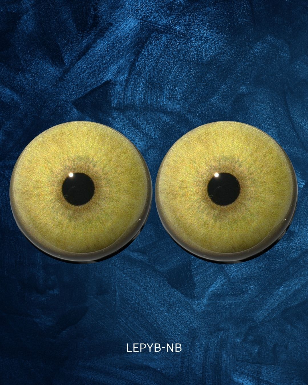 Leopard Eye - Round pupil with yellow brown Iris (LEPYB)