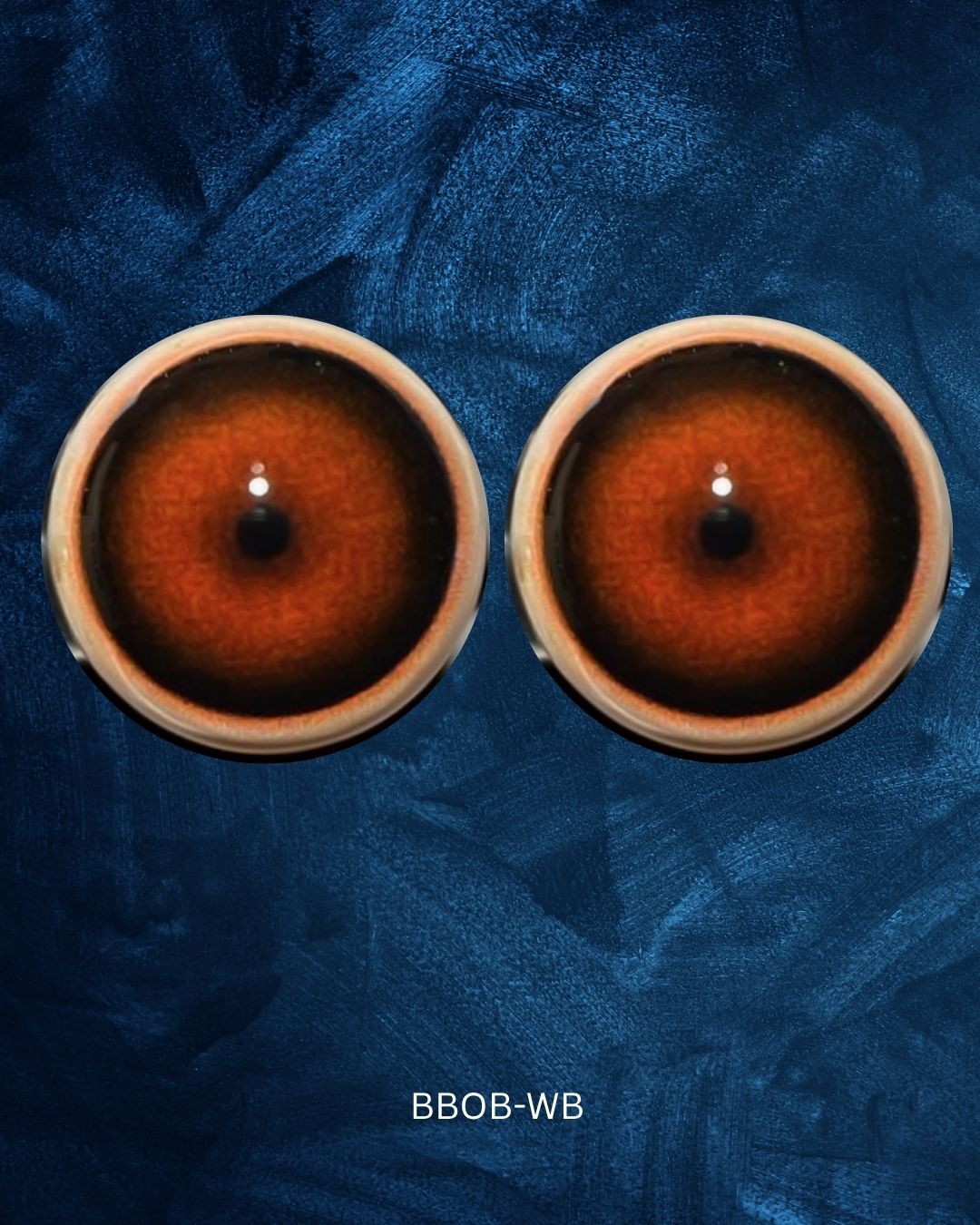 Bear Eye - Round Pupil with reddish brown Iris (BBOB)