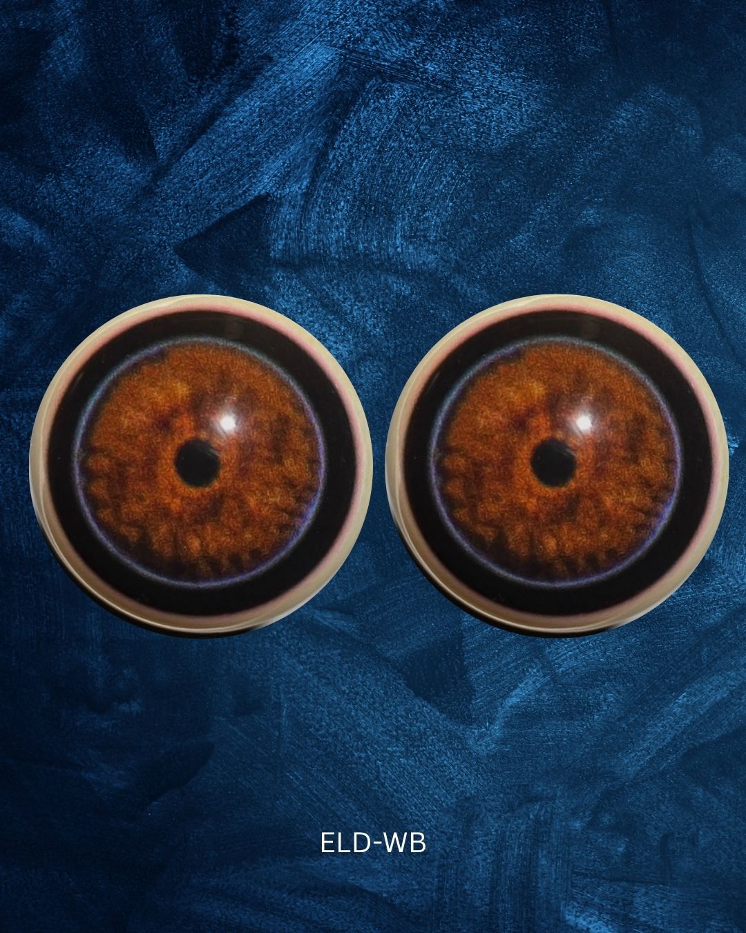Elephant Eye - Round pupil with mottled Brown Irus and black and blue outer ring (ELD)