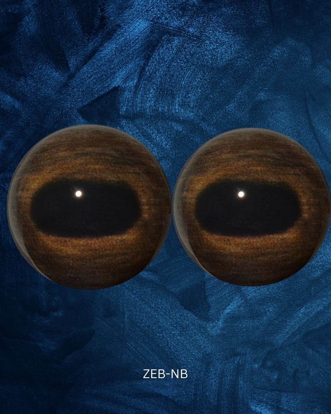 Zebra Eye - Oval pupil with light brown and dark brown iris (ZEB)