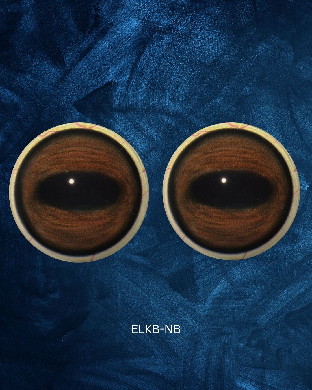 Elk Eyes - Oval Pupil with Warm Brown Iris and black circular contraction rings (ELKB)