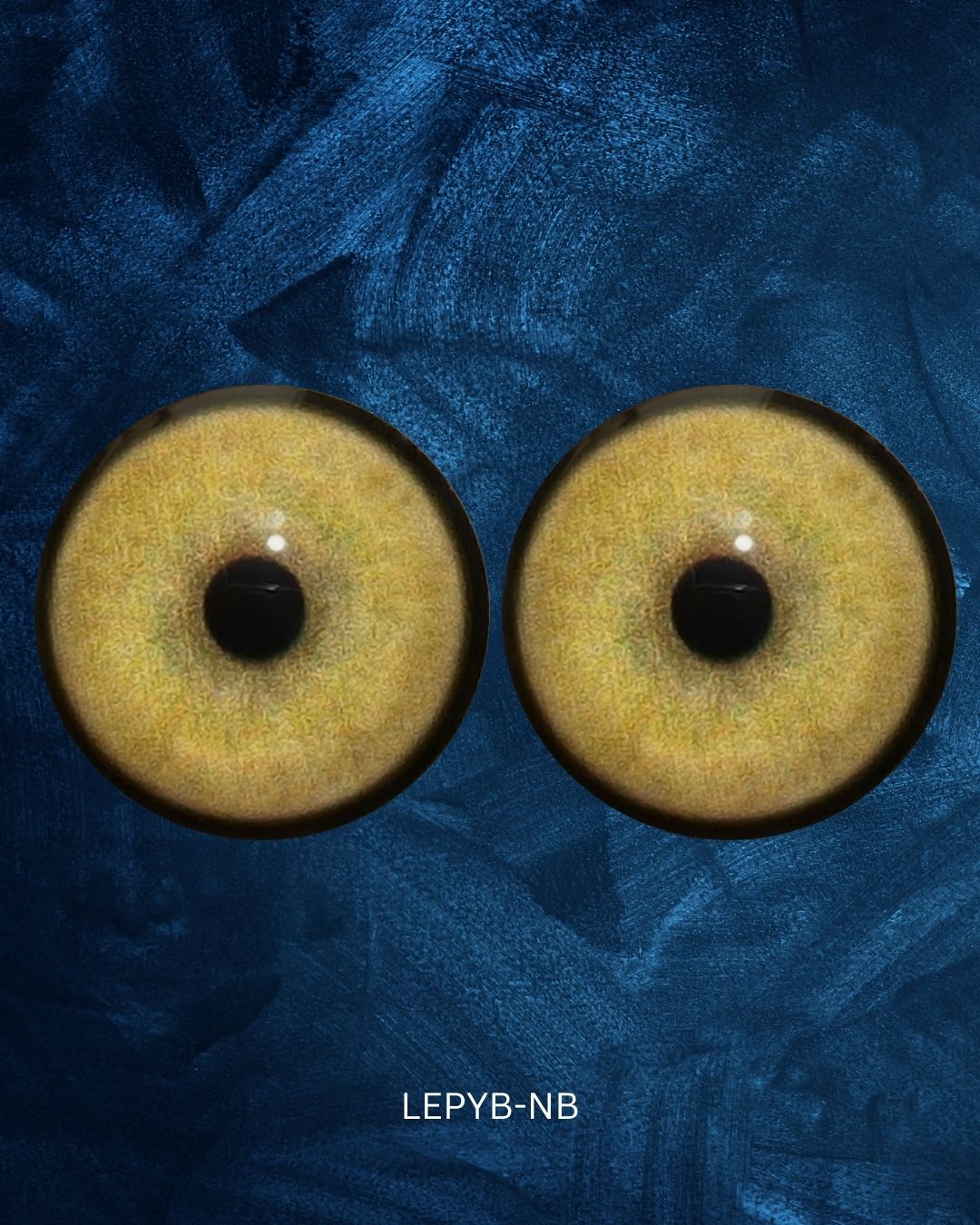 Leopard Eye - Round pupil with yellow brown Iris (LEPYB)