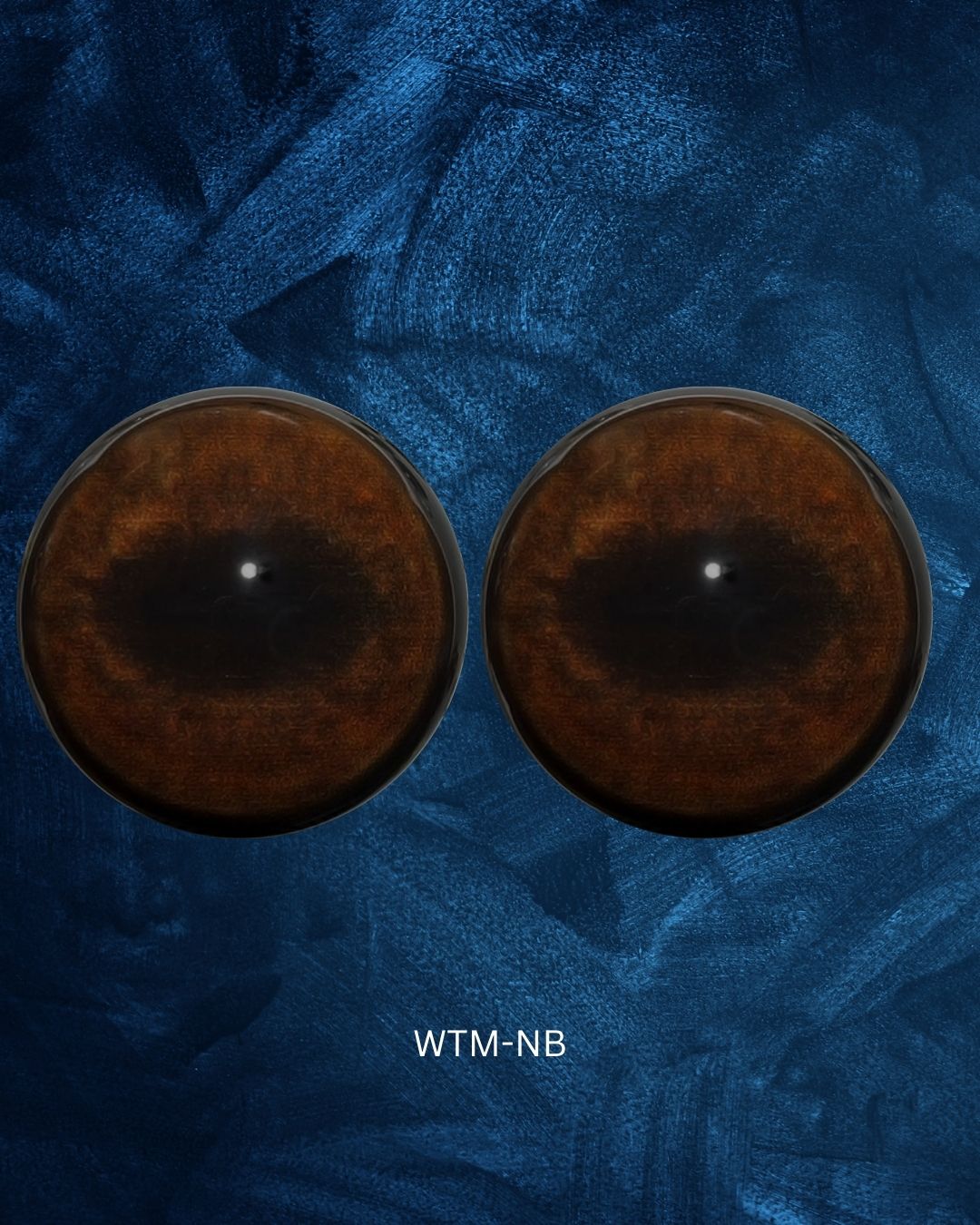 Whitetail Deer Eye - Oval Pupil with medium brown and black Iris (WTM)