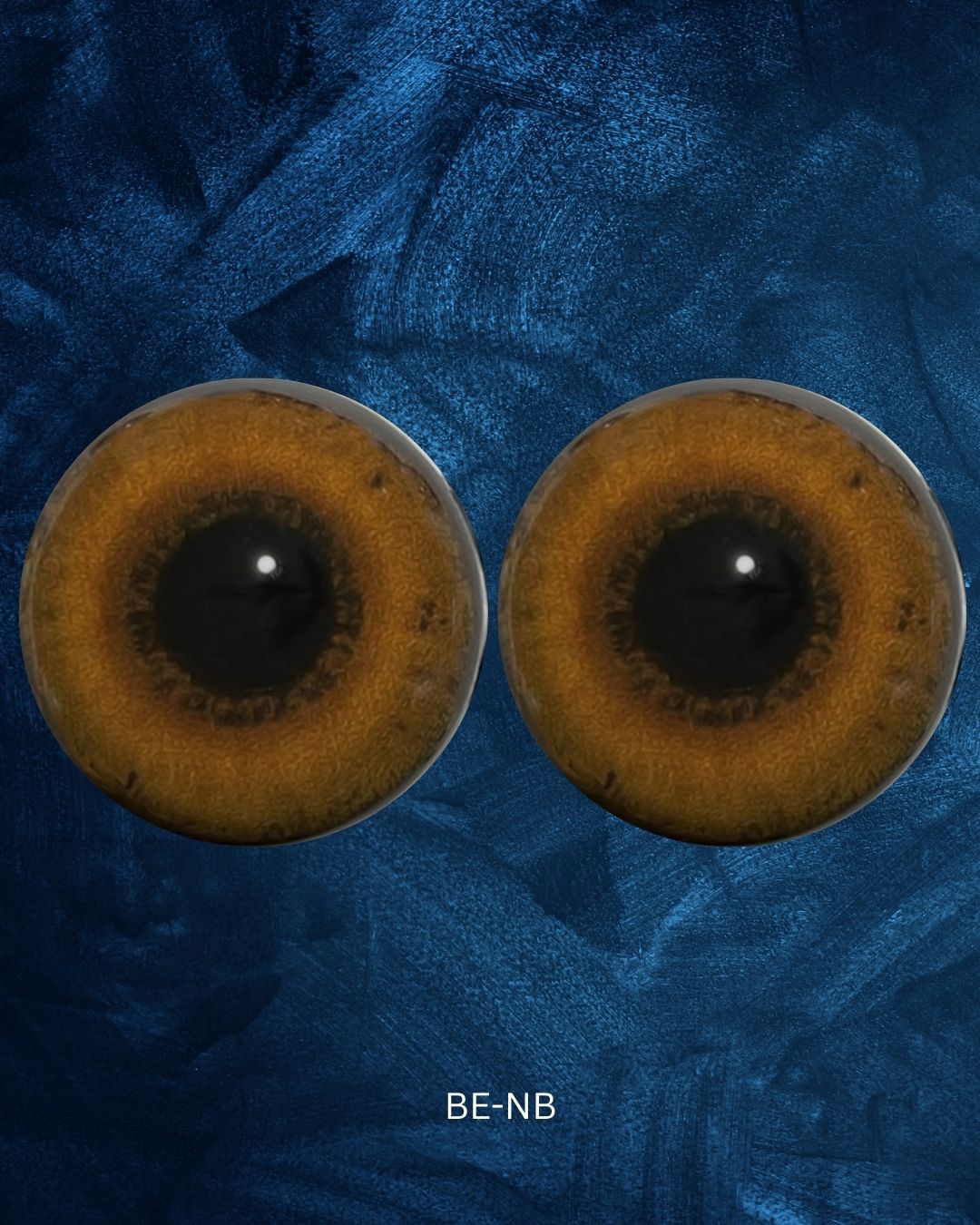 Boar eye- Round pupil with light brown iris (BE)