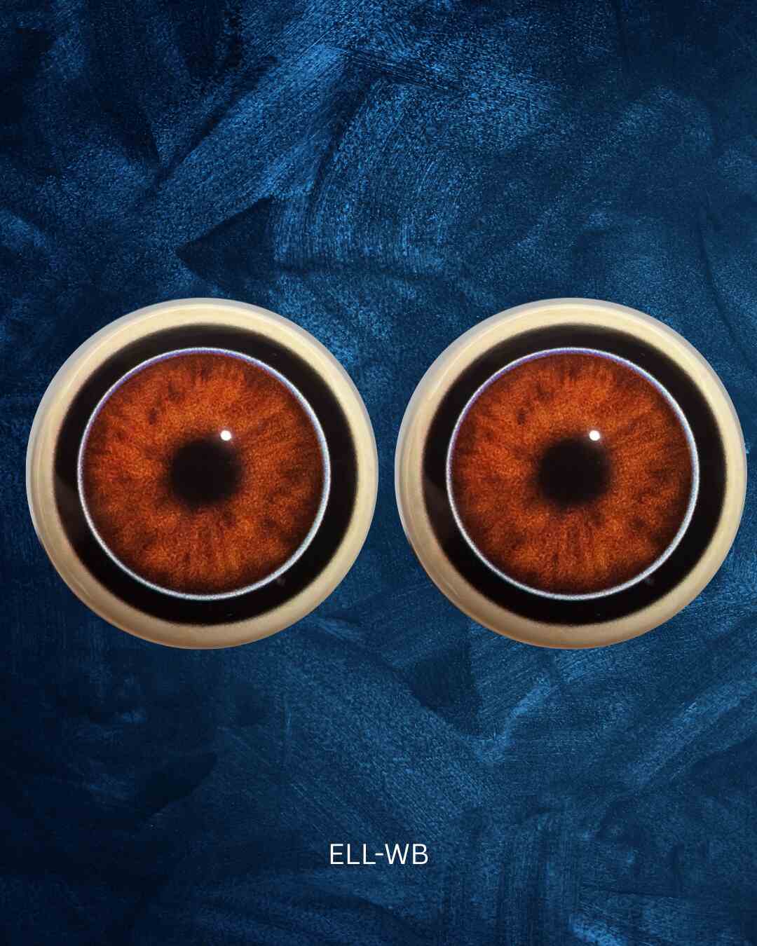Elephant Eye - Round Pupil with Radial reddish brown Irus and white and black outer ring (ELL)