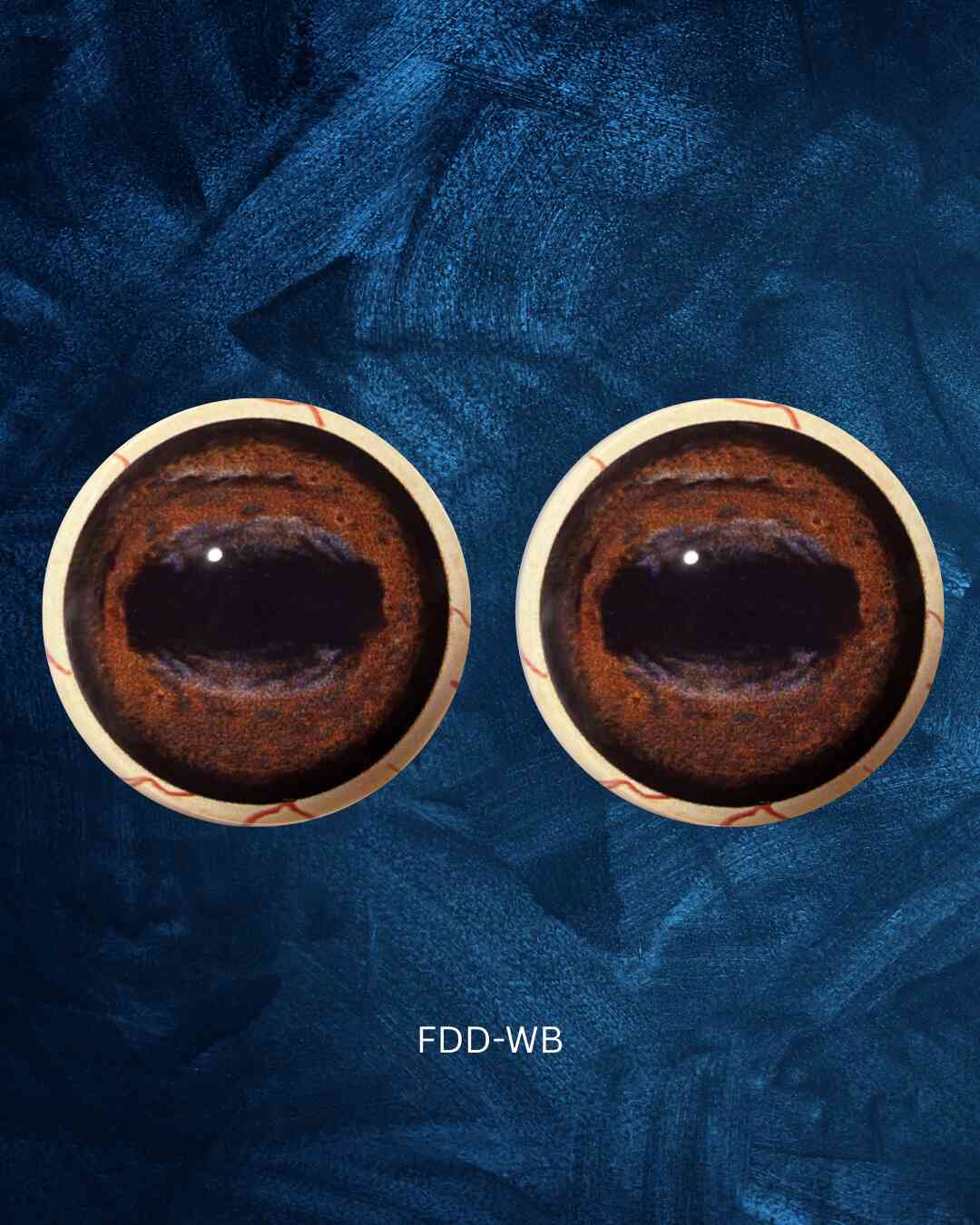 Deer Eye - Oval Pupil with medium red brown Iris (FDD)