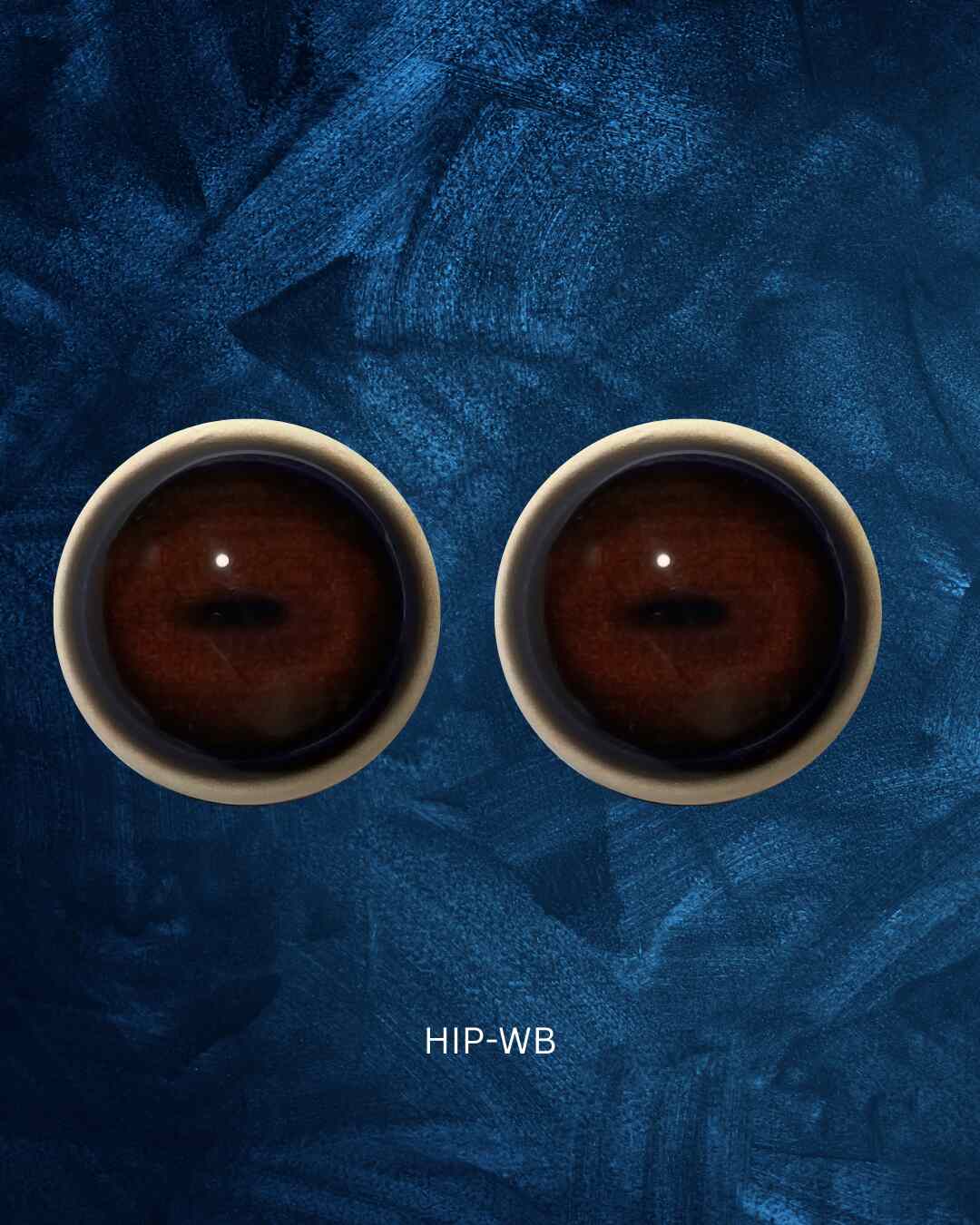 Hippo - Small horizontal slit pupil with brown iris and blue and black outer rings (Hip)