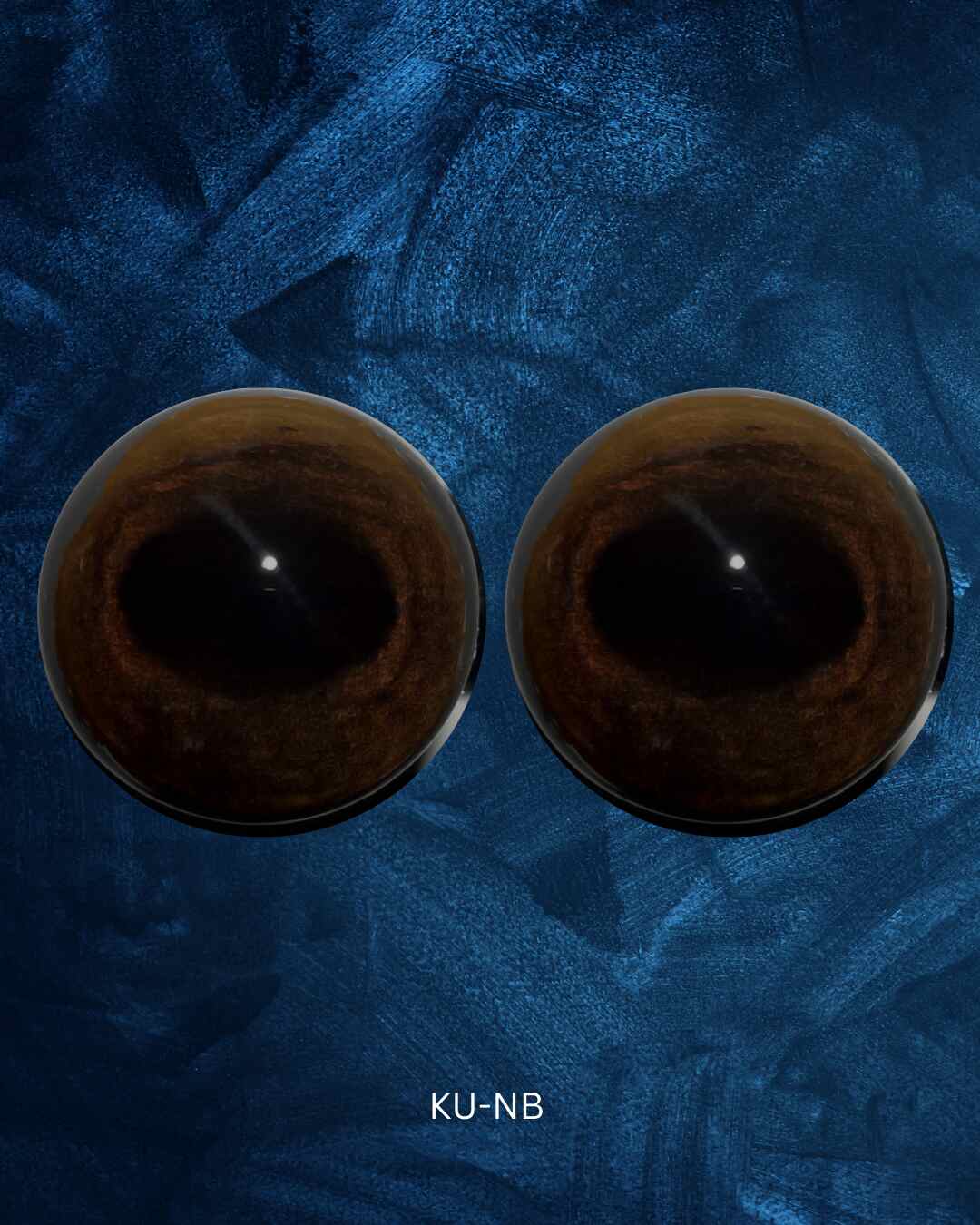 Hog Deer Eye- Oval Pupil with chocolate brown Iris and light brown mottling (KU)