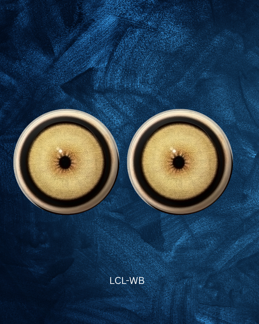 Lion Eye - Small pupil with yellow brown Iris and black and white outer rings (LCL)