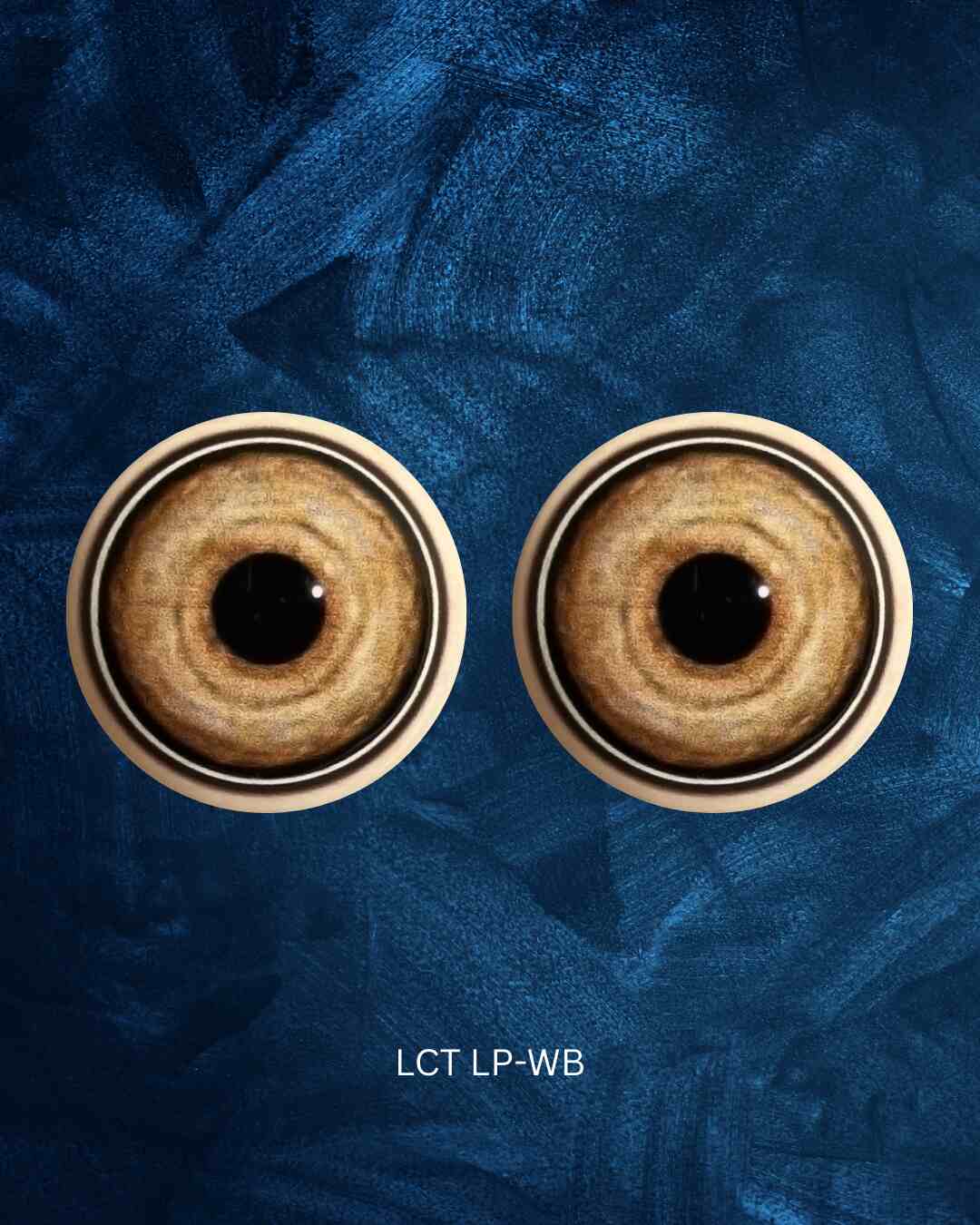 Lion Eye - Large pupil with yellow brown Iris and white, black and brown outer rings (LCT-LP)