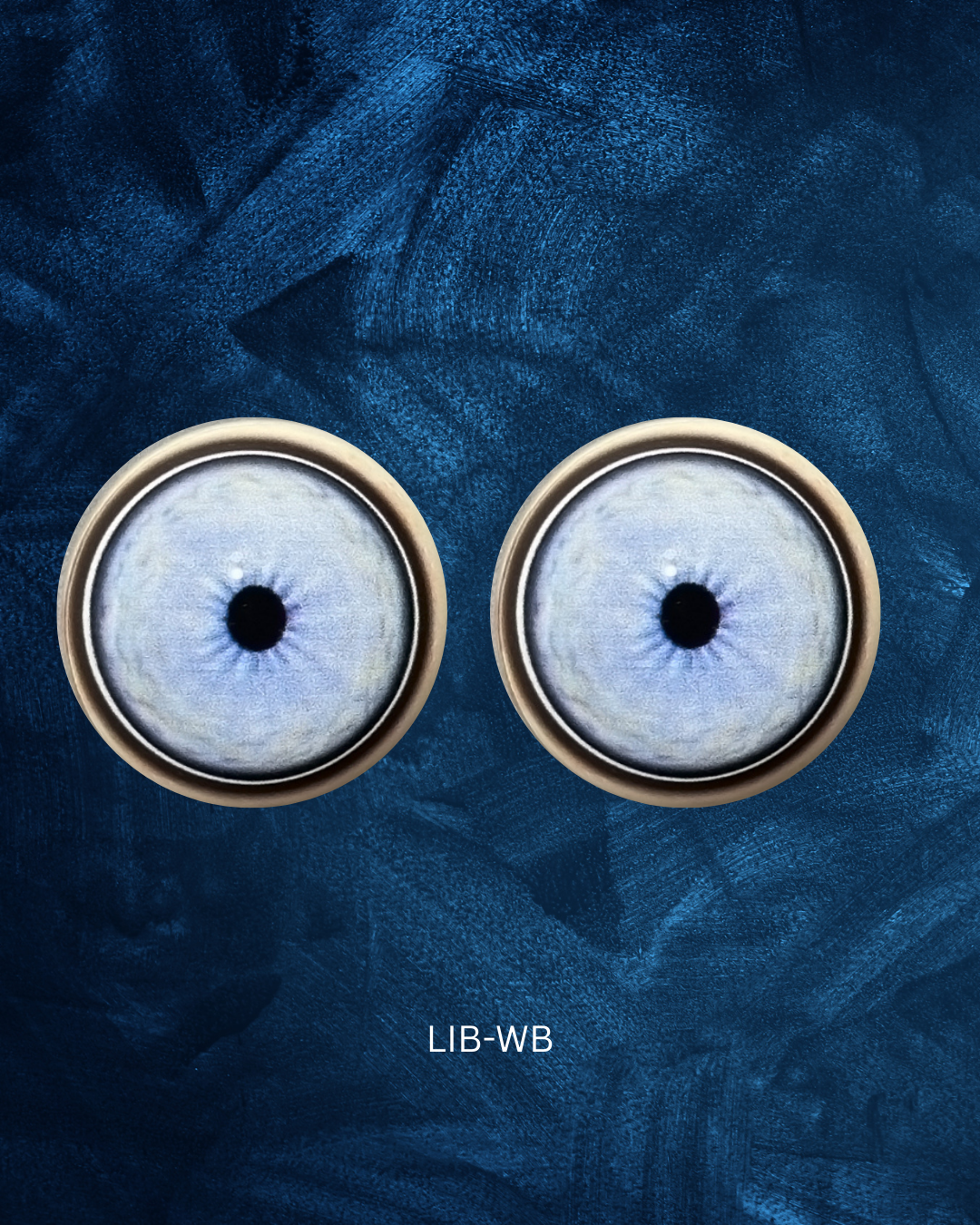 Lion Eye - Small pupil with light blue to white Iris and white, black and brown outer rings (LIB)