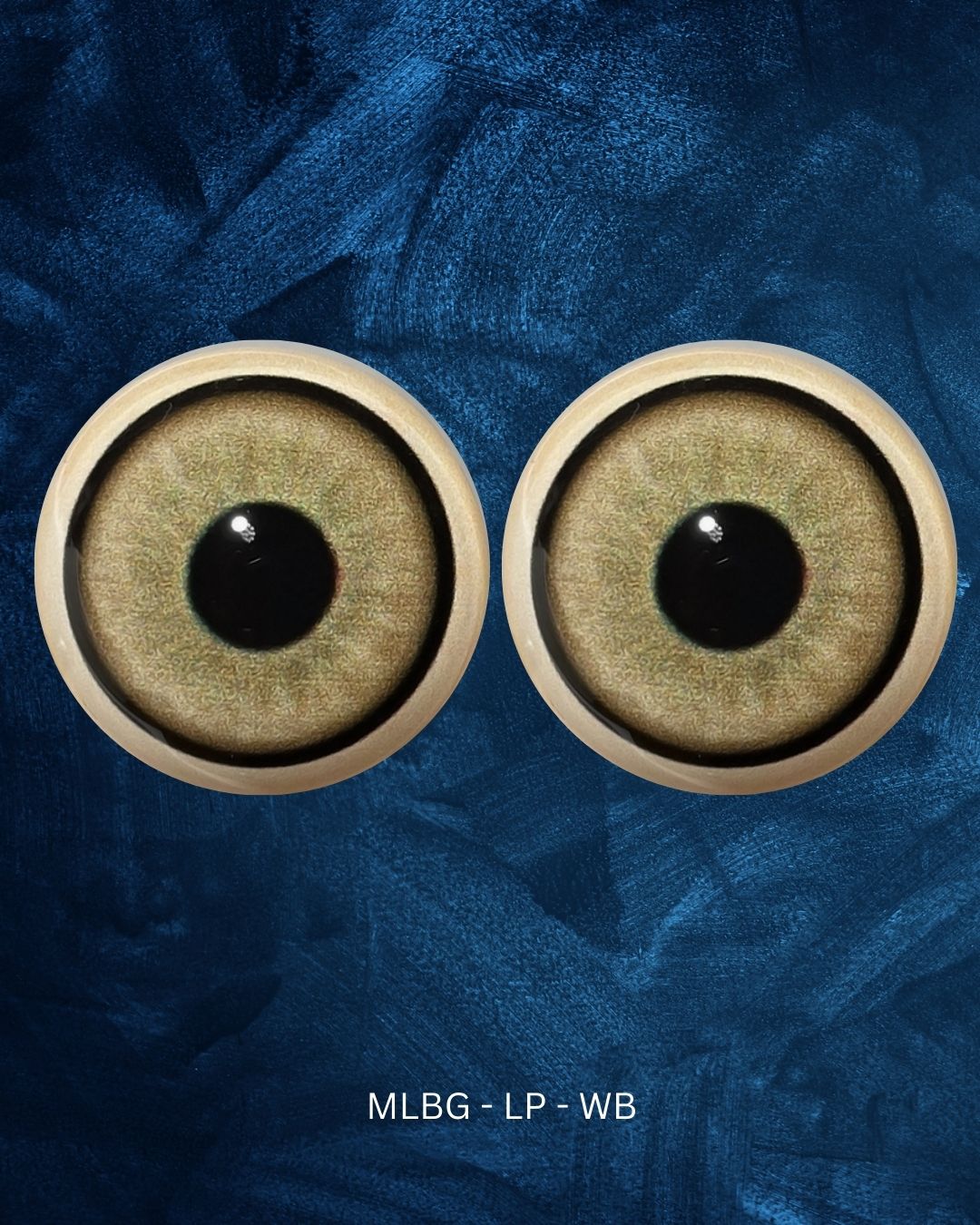 Mountain Lion Eye - Large pupil with light yellow brown Iris (MLBG-LP)
