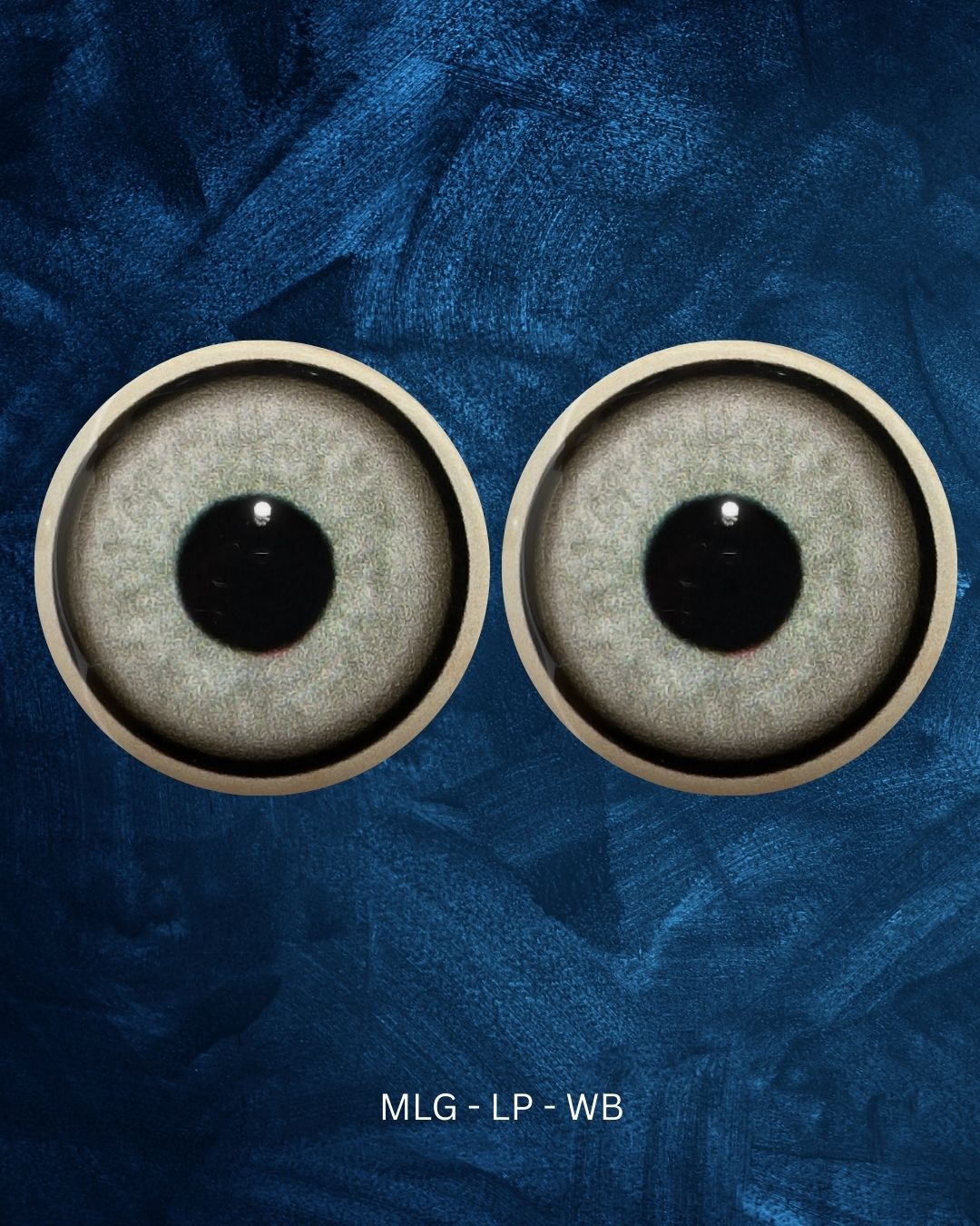 Mountain Lion Eye - Large pupil with light grey to green Iris (MLG-LP)