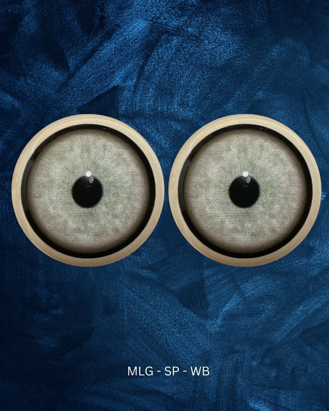 Mountain Lion Eye - Small pupil with light grey to green Iris (MLG-SP)