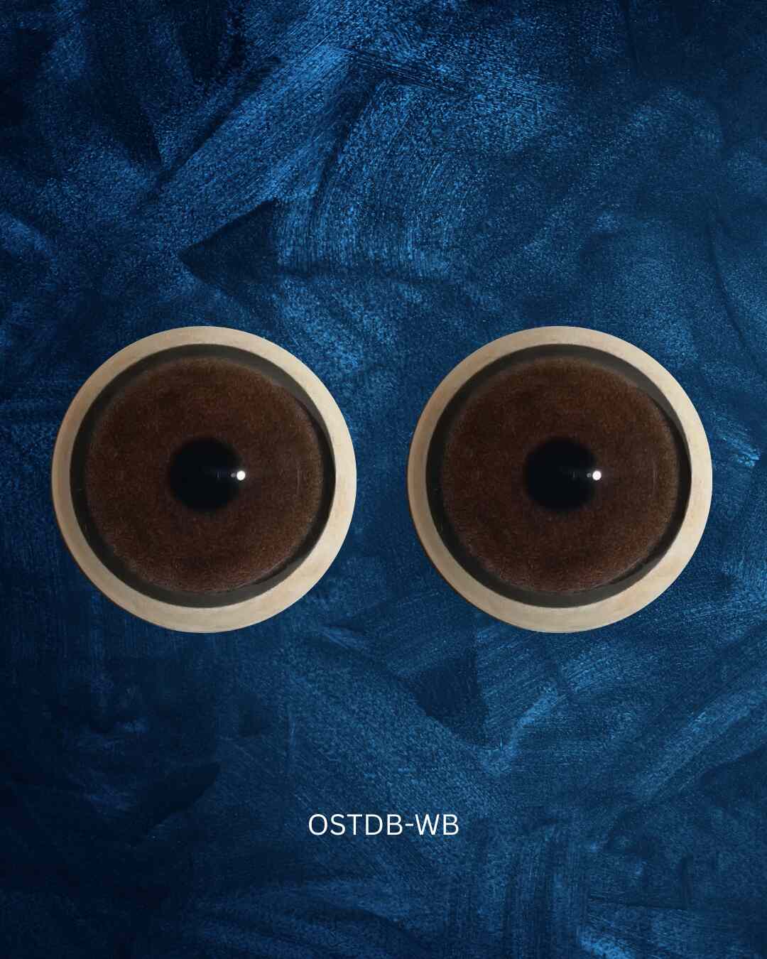 Ostridge Eye - Round pupil with brown iris (OSTDB)