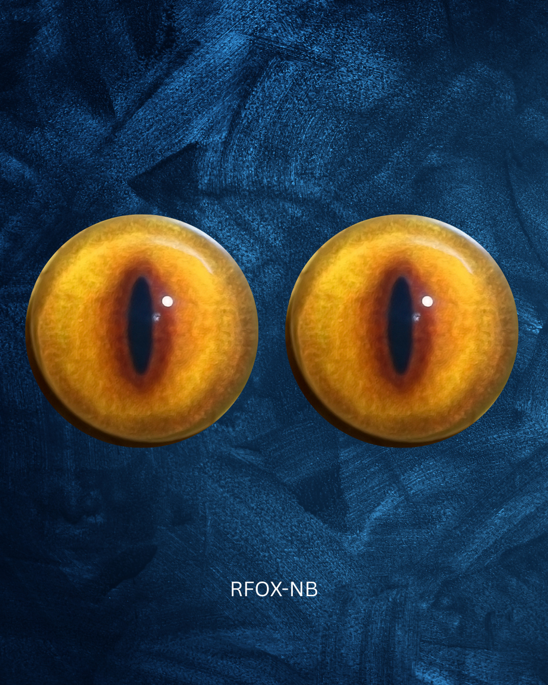 Red Fox Eye - Slit pupil with orange red iris (RFox)