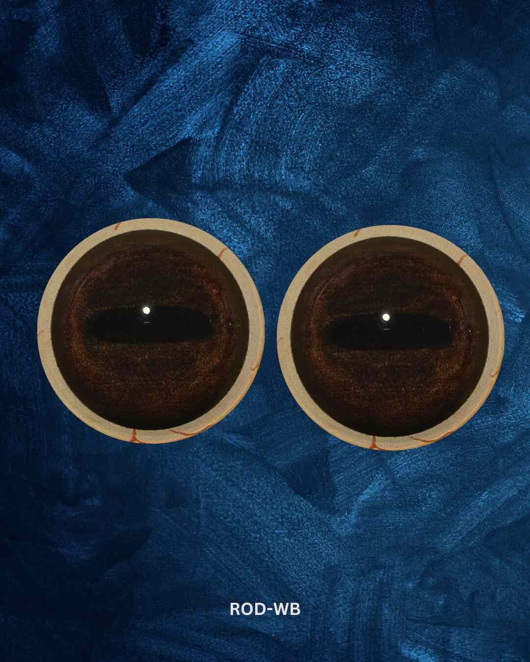 Roe Deer Eye - Narrow Oval Pupil with dark brown iris (Rod)