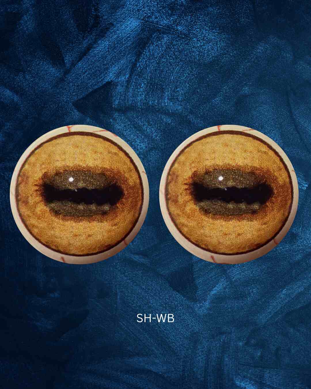 Sheep Eye - Oval pupil with saturated yellow iris and brown outer iris ring (SH)