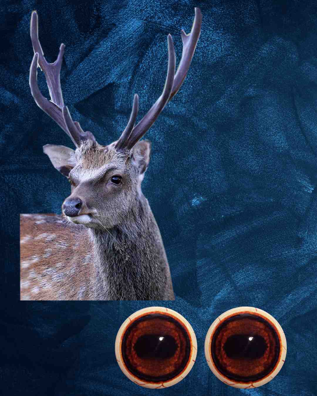 Sika Deer Eye - Oval Pupil with Red-brown Iris (SD)
