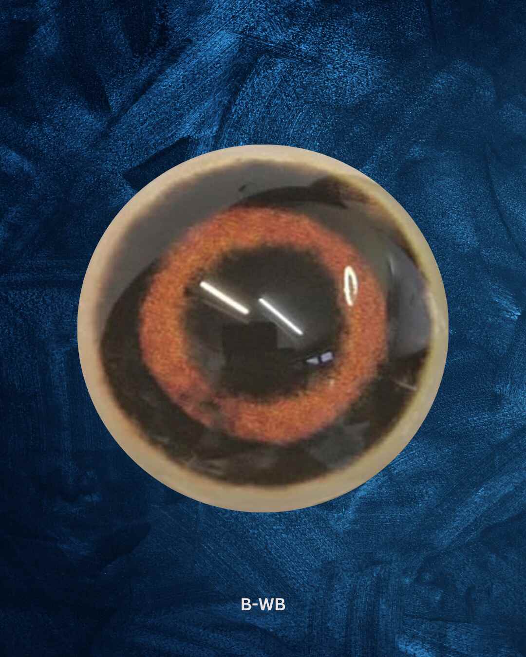 Boar eye- Round pupil with Red Iris and black outer ring (B)