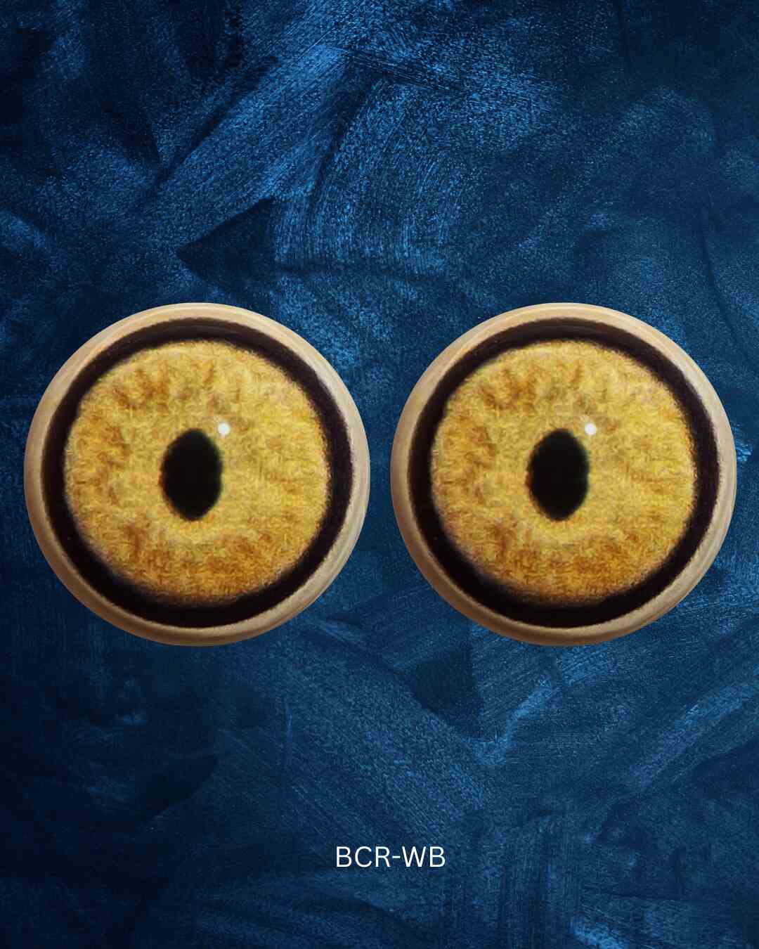 Bobcat Eye - Slit pupil with yellow iris and natural veins (BCR)
