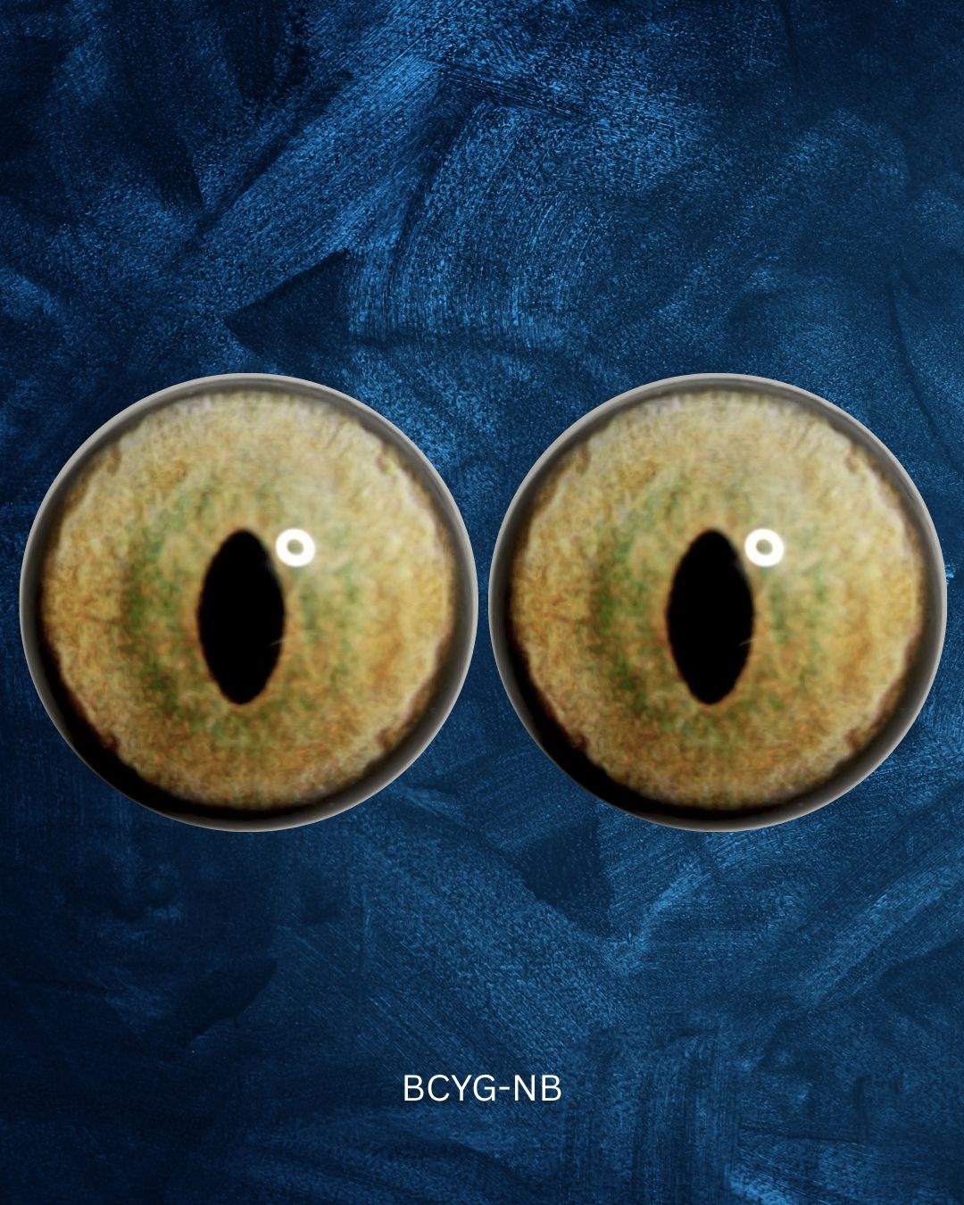 Bobcat Eye - Slit pupil with yellow green iris (BCYG)