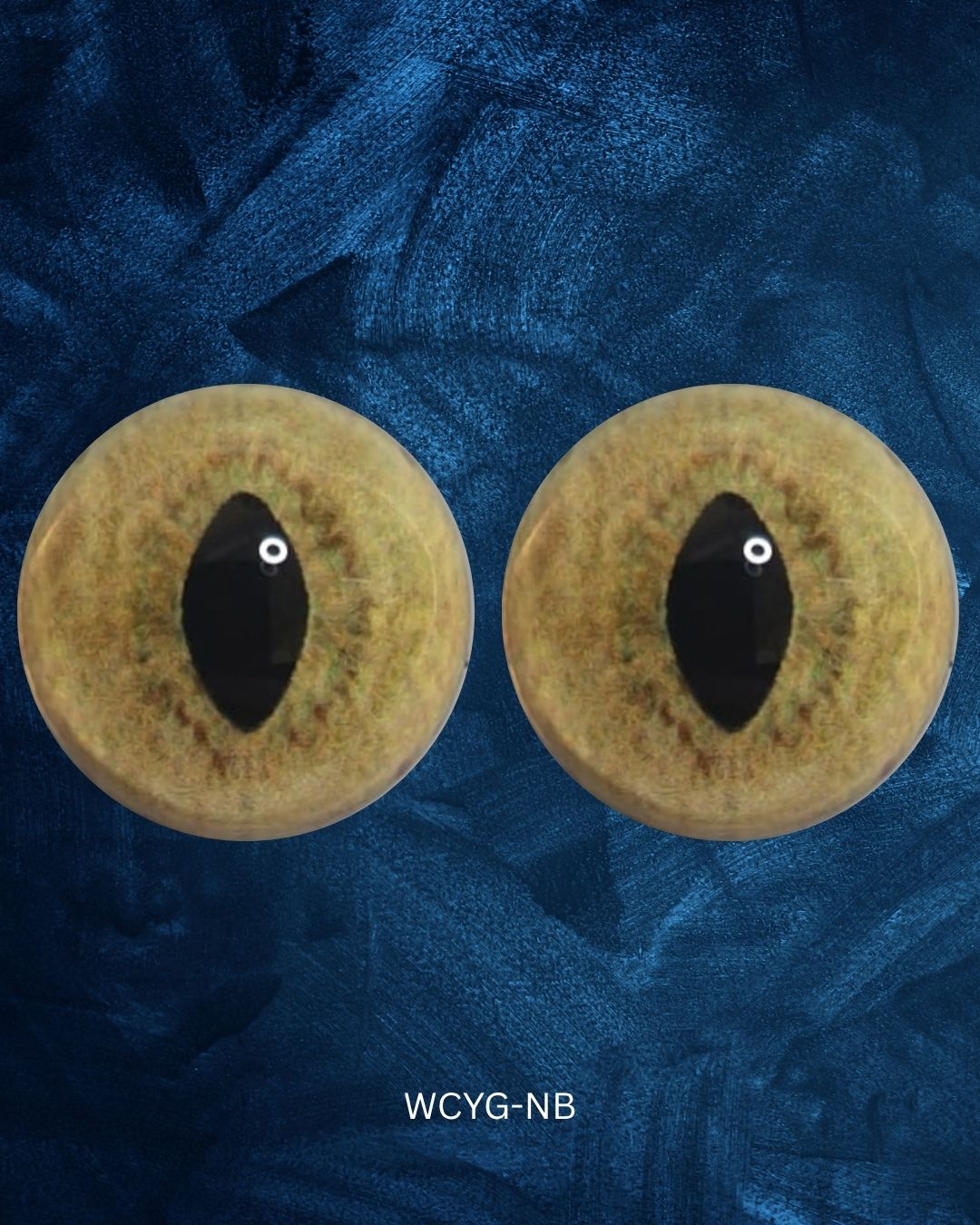 Wild Cat Eye - Open Slit pupil with yellow greenish iris (WCYG)