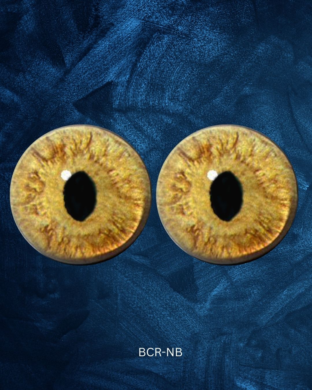 Bobcat Eye - Slit pupil with yellow iris and natural structure (BCR)