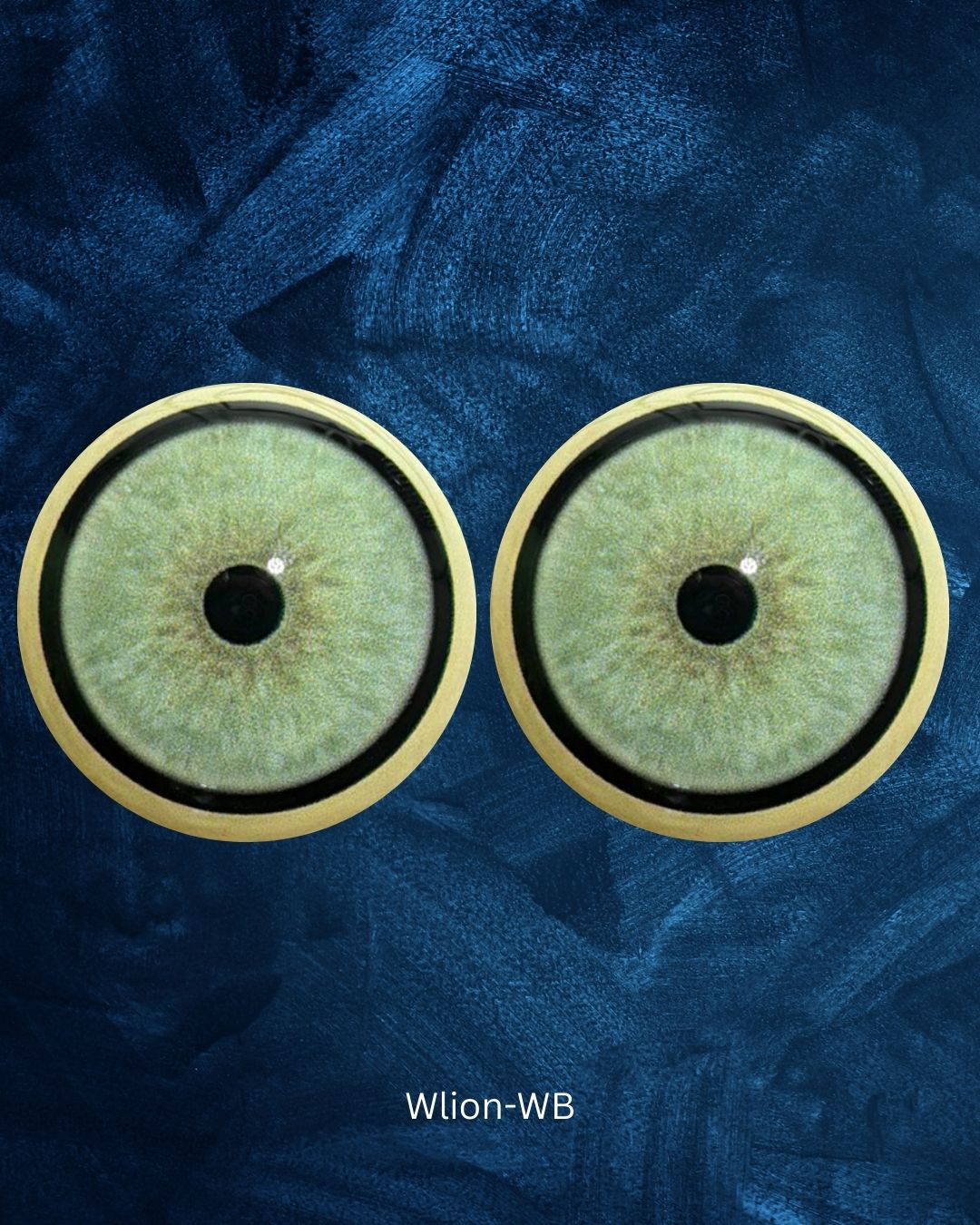 White Lion Eye - Small pupil with light blue green to grey Iris (W lion)