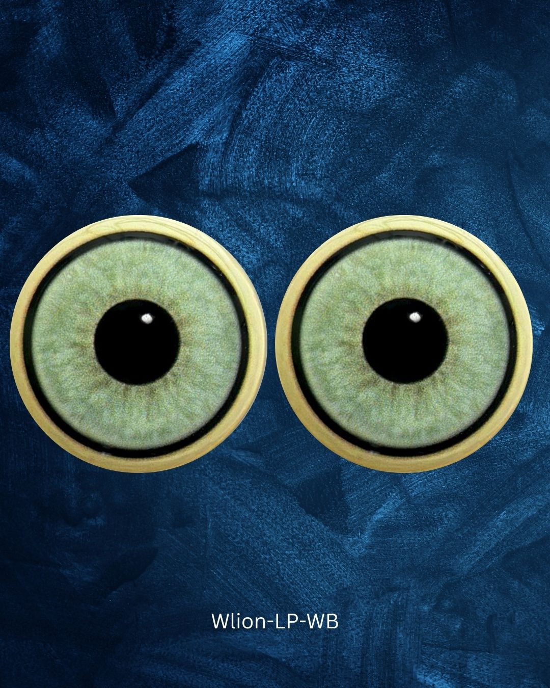 White Lion Eye - Large pupil with light blue green to grey Iris (Wlion-LP)