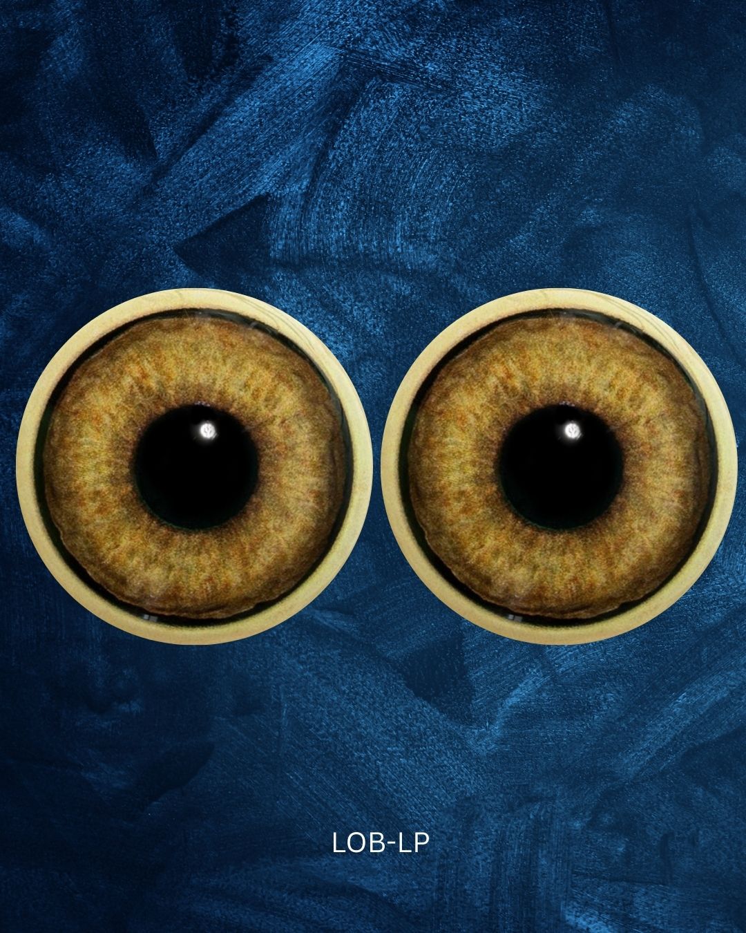 Lion Eye - Large pupil with orange brown Iris (LOB-LP)