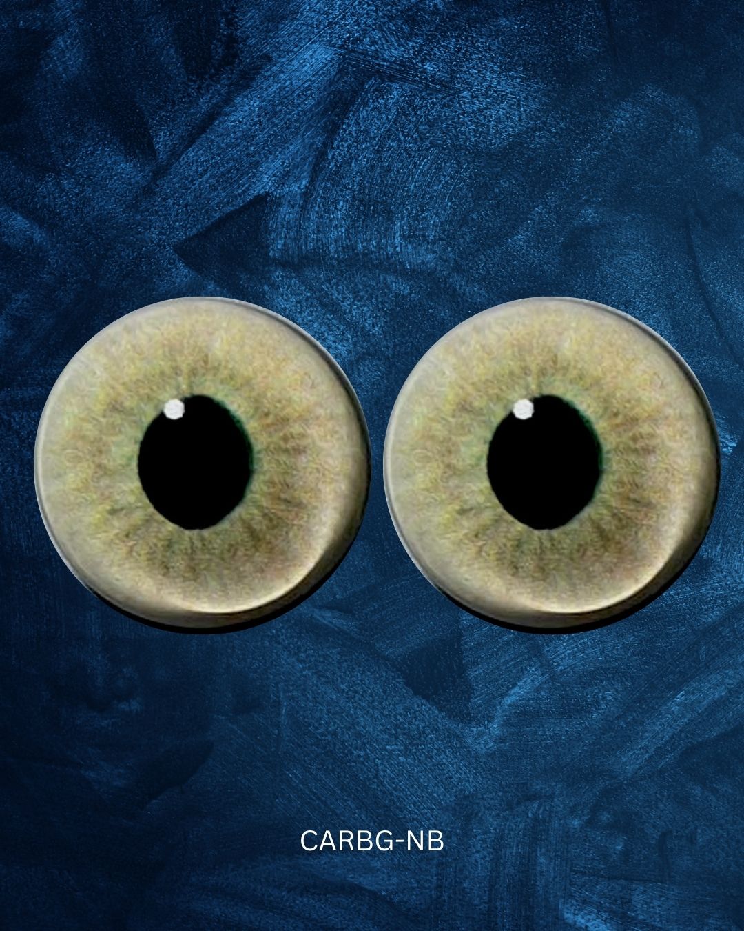 Caracal Eye - Semi oval pupil with light brown Iris and green inner tint (CARBG)