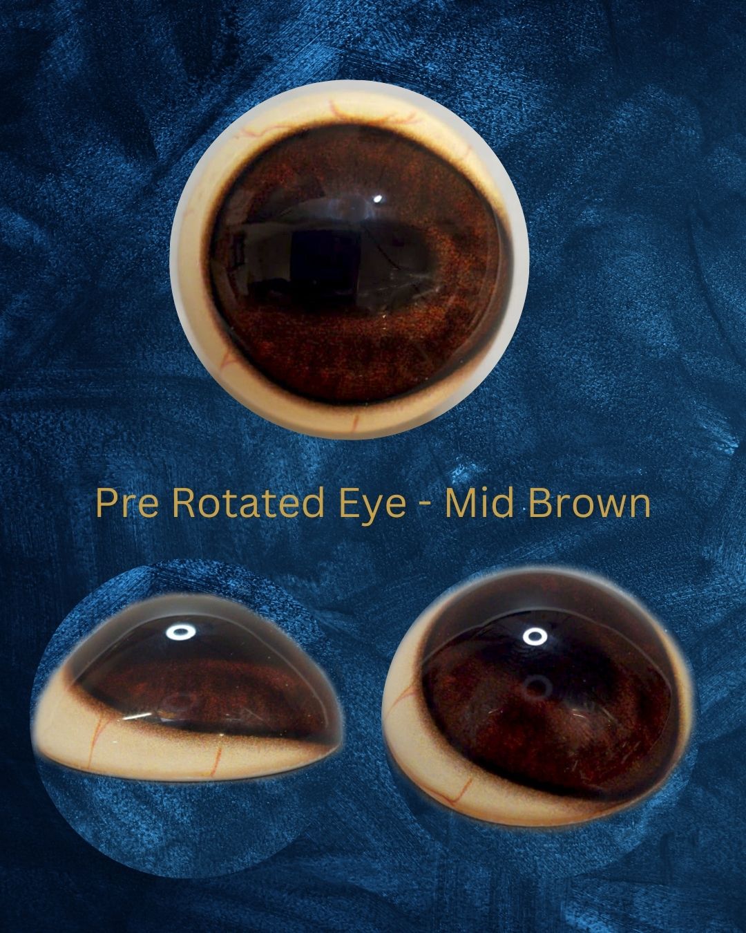 Pre Rotated Eye - Medium Brown (UMB-PR)