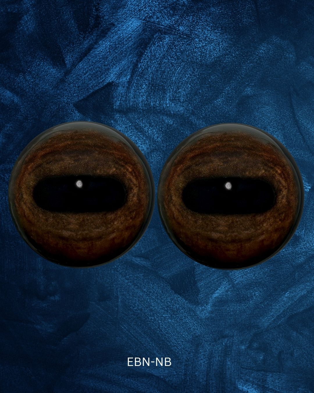 Deer Eye - Oval Pupil with medium brown Iris and natural oval contraction rings (EBN)
