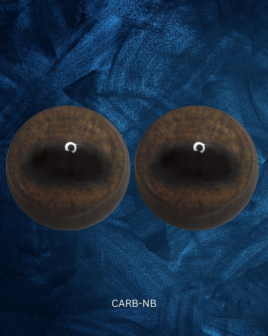 Caribou Eye - Oval Pupil with medium brown Iris (CarB)