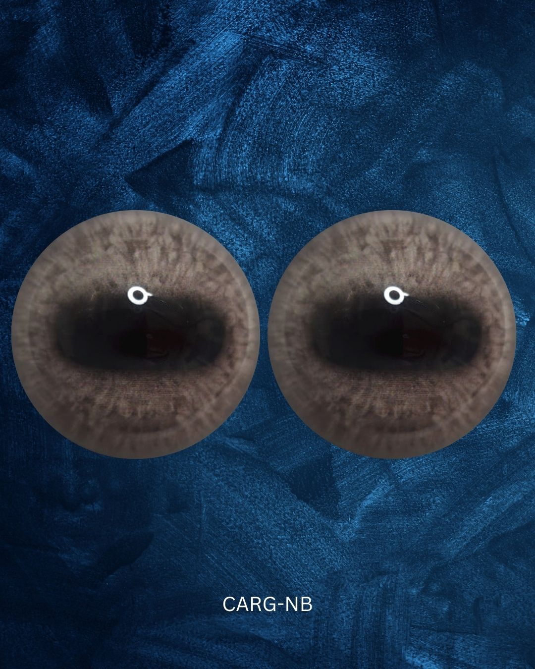 Caribou Eye - Oval Pupil with greyish Iris (CarG)