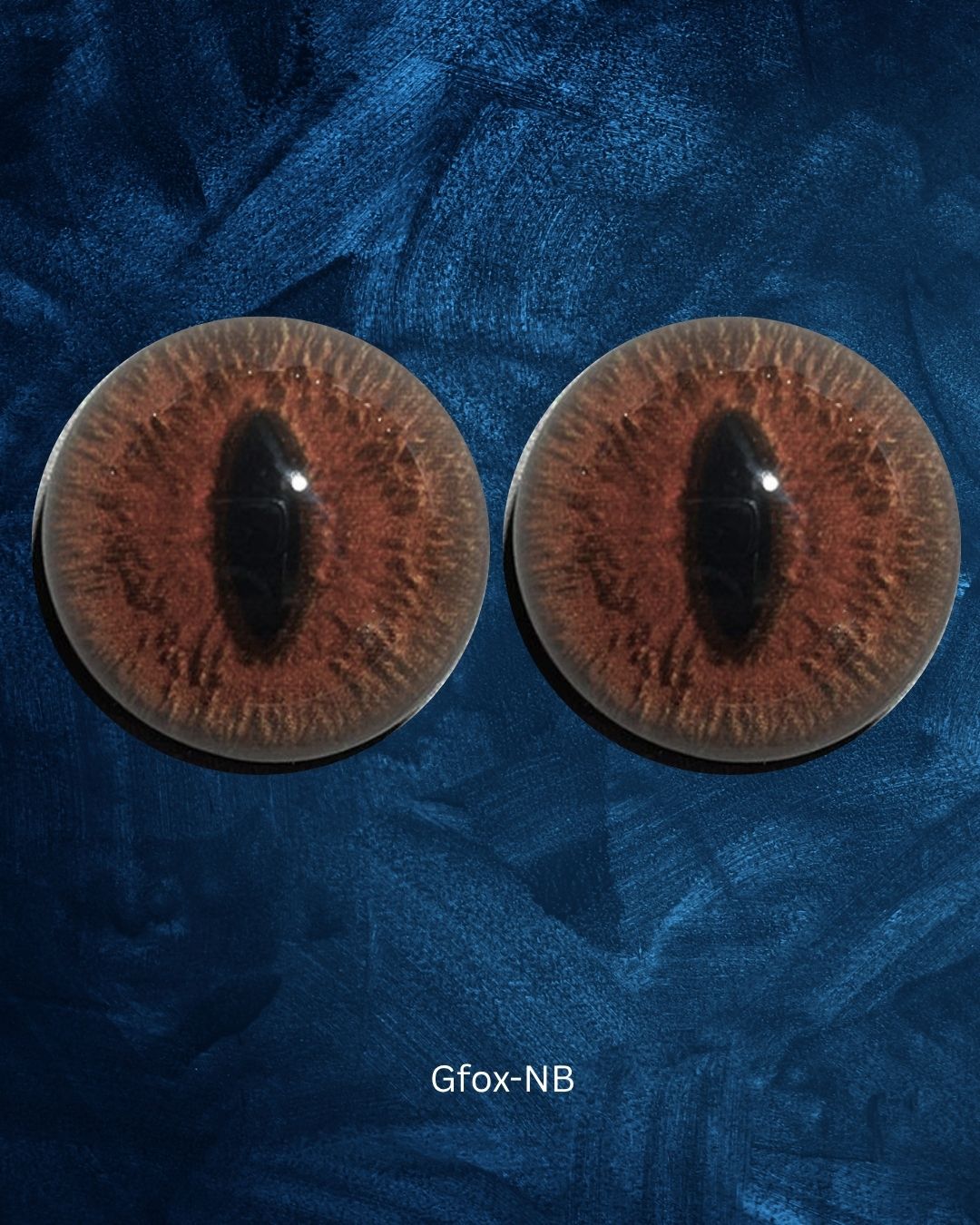 Gray Fox Eye - Slit pupil with red brown iris (GFox)