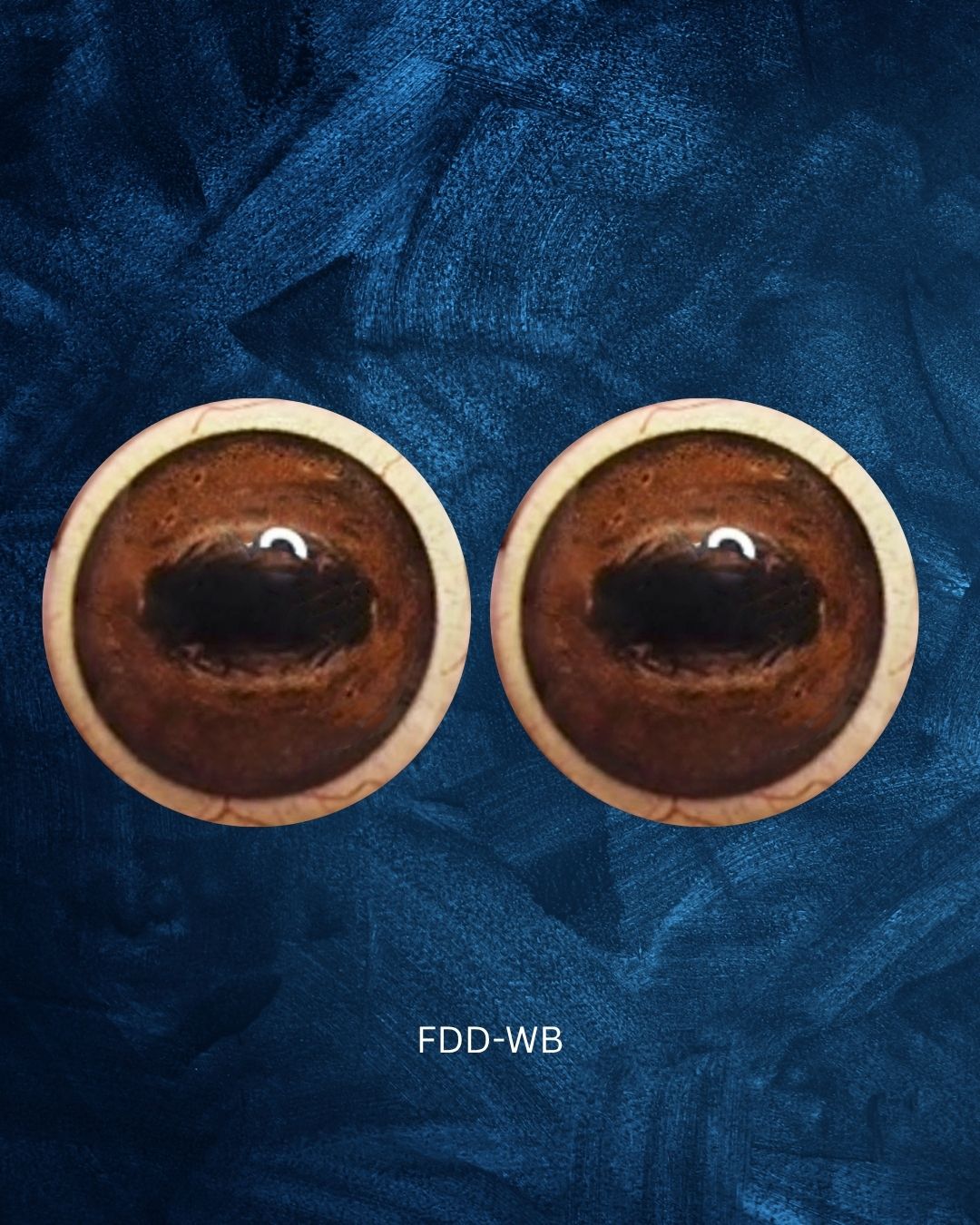 Fallow Deer Eye - Oval Pupil with medium red brown Iris (FDD)