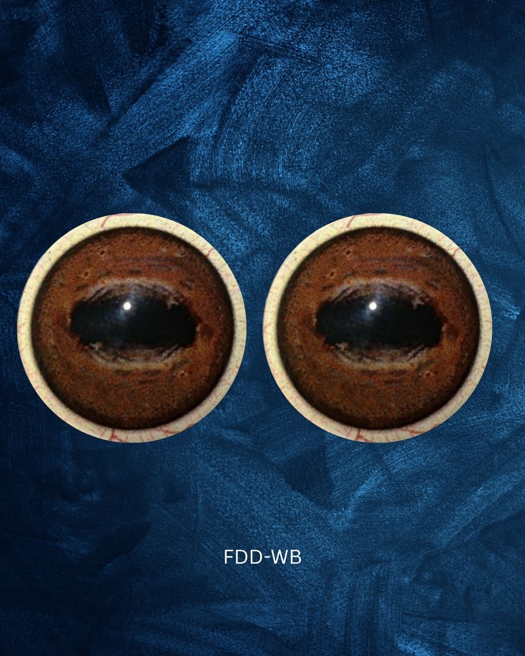 Deer Eye - Oval Pupil with medium red brown Iris (FDD)