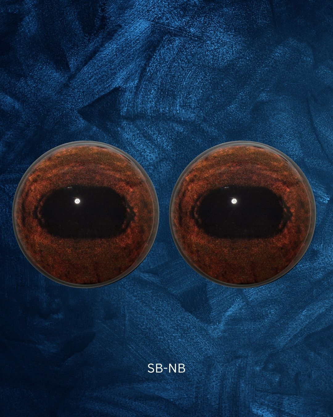 Sambar Eye - Oval pupil with bright reddish brown Iris and black contraction rings (SB)