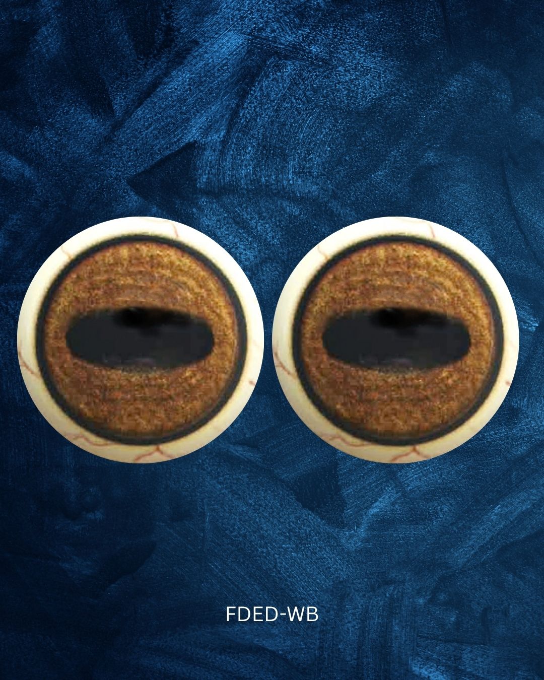 Deer Eye - Oval Pupil with brown Iris and darker oval contraction rings (FDED)