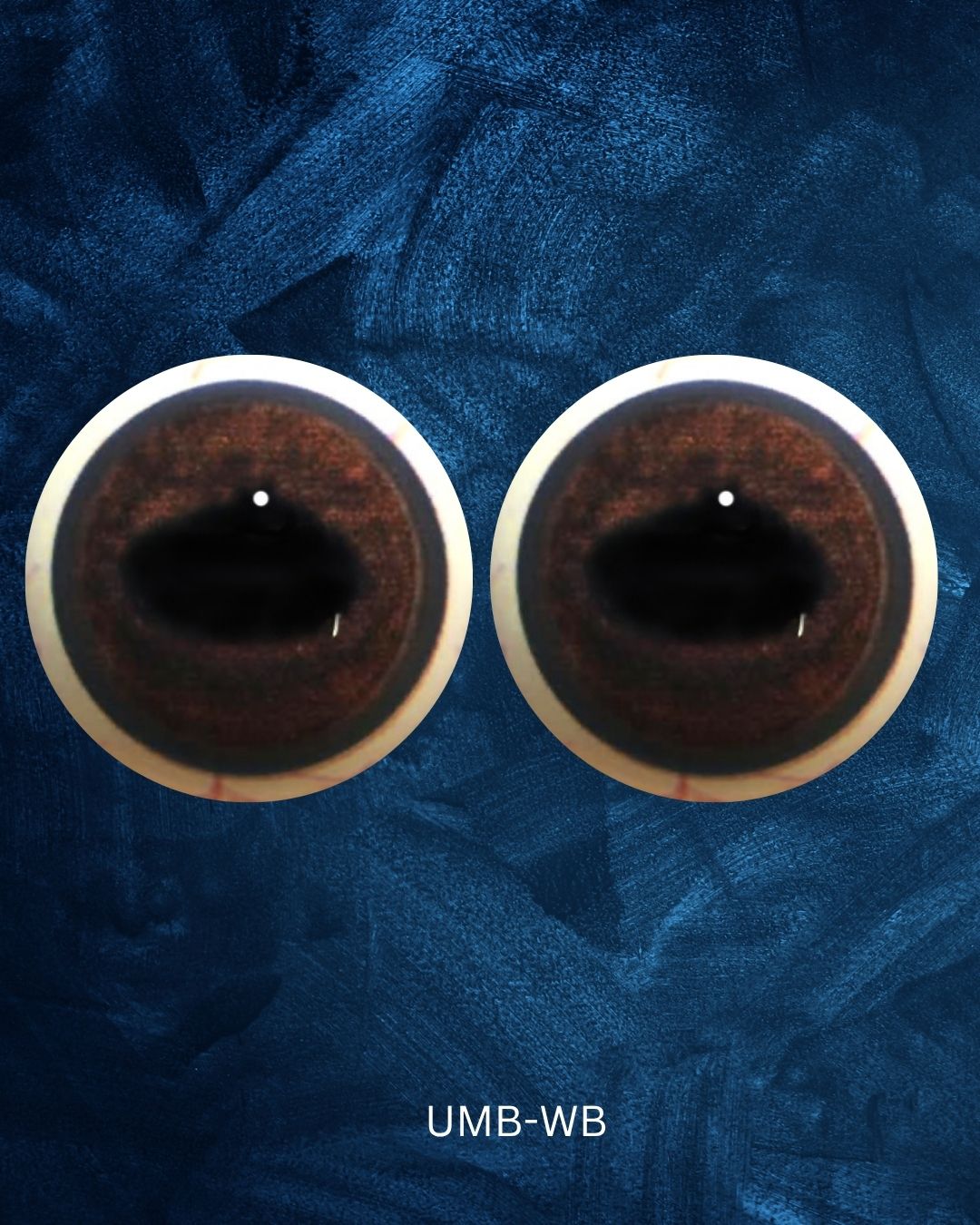 Chital Deer Eye - Oval Pupil with warm brown Iris (UMB)
