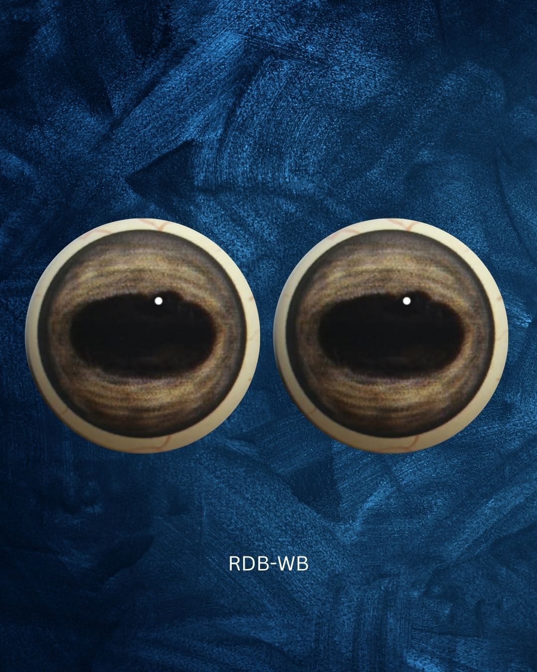 Red Deer Eye - Oval Pupil with medium brown Iris and creamy circular contraction rings (RDB)
